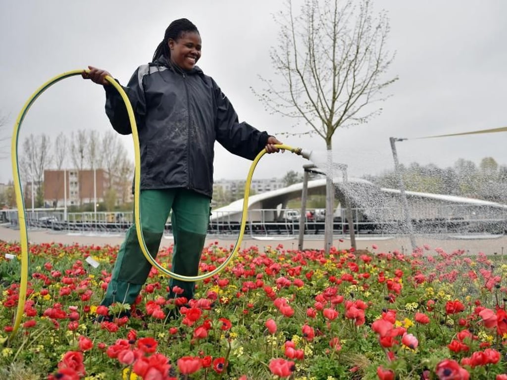 Wasser für die Blumen. Foto: Britta Pedersen