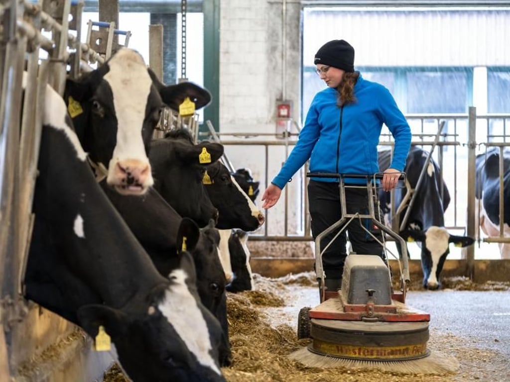 Der Anblick zufriedener Tiere entschädigt Nina Langreder immer für die anstrengenden Seiten ihres Berufs. Als angehende Landwirtin ist sie jeden Tag lang auf den Beinen. Foto: Peter Steffen/dpa-tmn