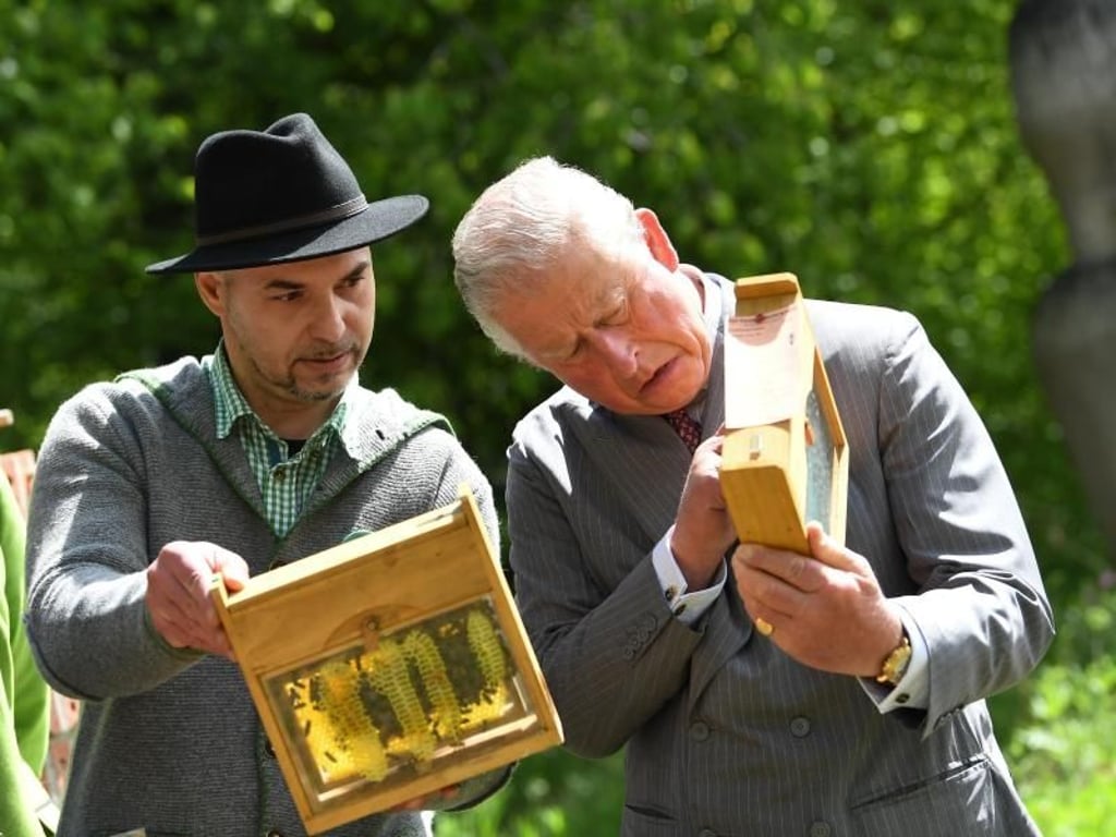 Prinz Charles (r), ließ sich vom Imker Alen Bacic die Bienen zeigen. Foto: Matthias Balk