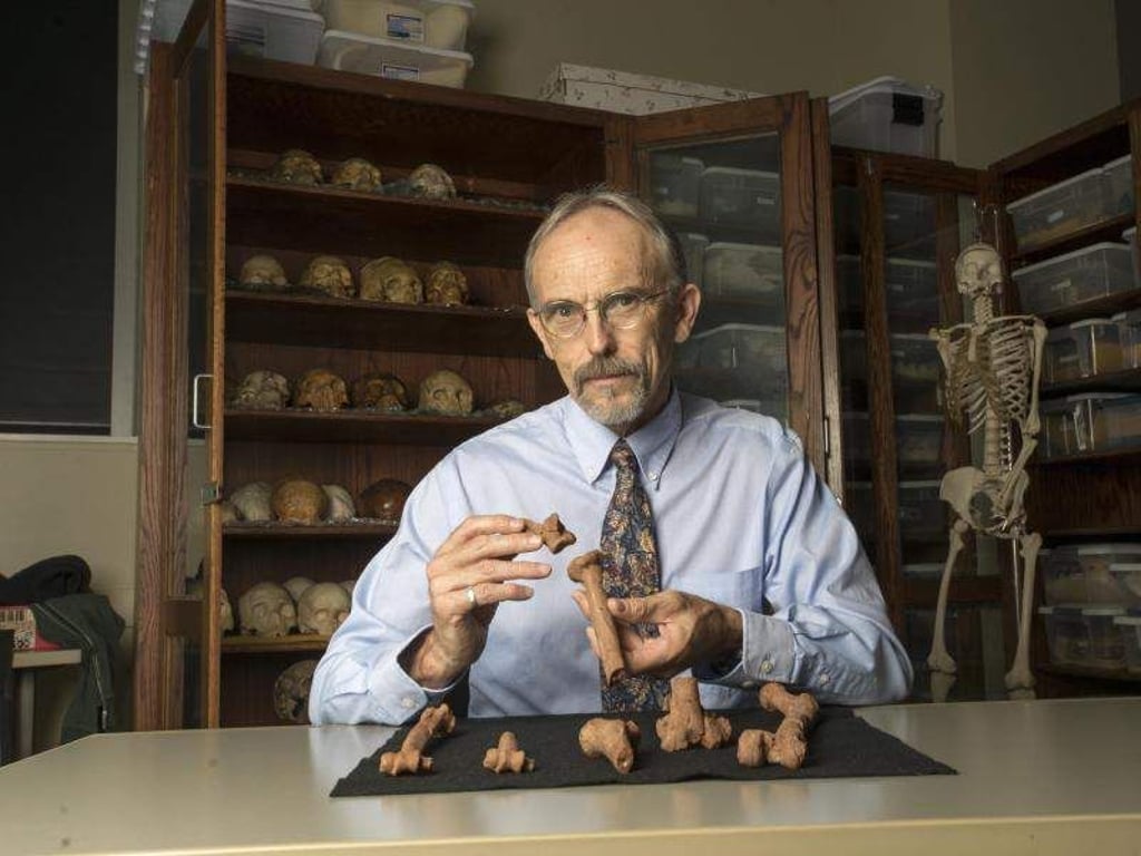 Die Forscher fanden Frakturen an vielen Knochen, etwa am Oberarm- und Oberschenkelknochen, am Schulterblatt, dem Becken und einer Rippe. Foto: Marsha Miller/UT Austin/dpa