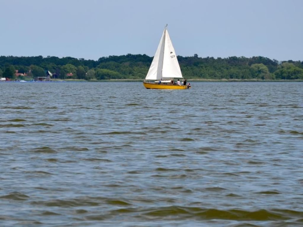 Unbewusst ins andere Land: Beim Schippern auf dem Neuwarper See ist auf polnischer Seite Nowe Warpno zu sehen, Neuwarp also. Foto: Andreas Heimann