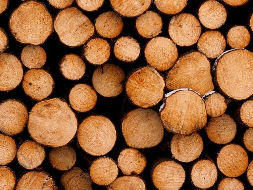 Holz liegt aufgeschichtet auf einem Haufen. Foto: Nicolas Armer/Archiv