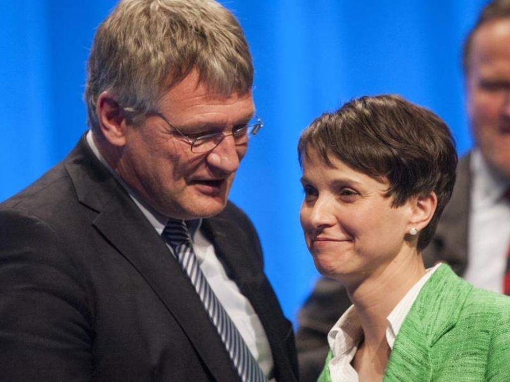 Jörg Meuthen und Frauke Petry beim AfD-Parteitag in Stuttgart. Foto: Christoph Schmidt