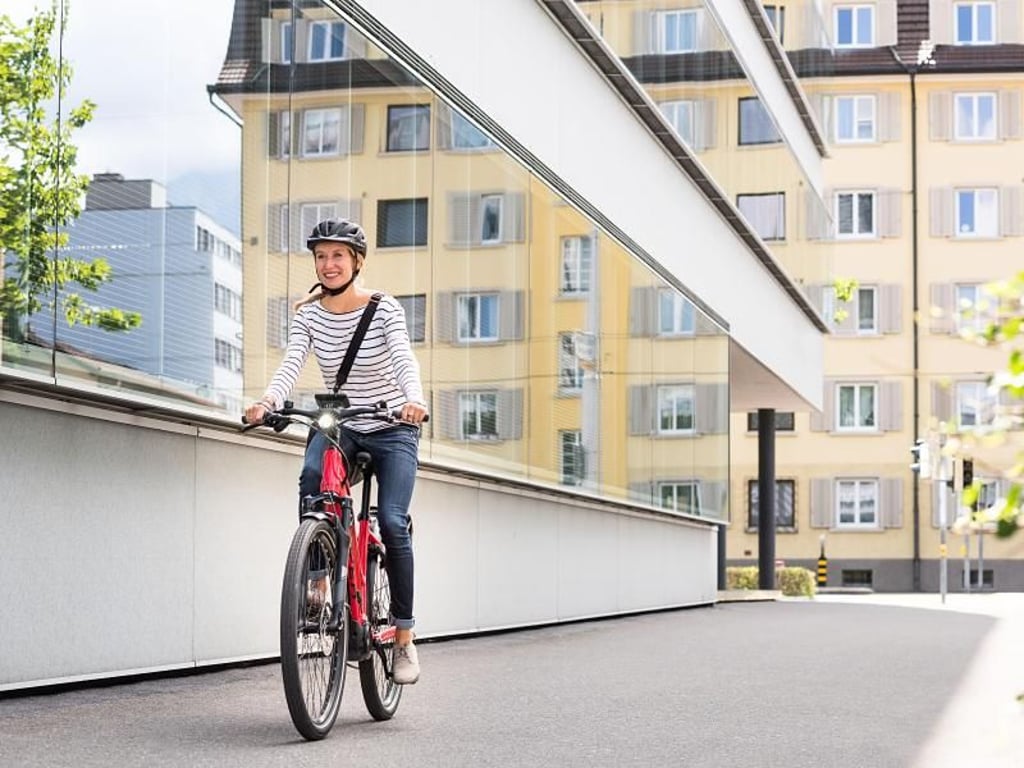 Viele verbinden mit einem gefedertem Fahrrad - hier von Flyer - ein bequemes Fahrgefühl. Foto: www.flyer-ch/pd-f