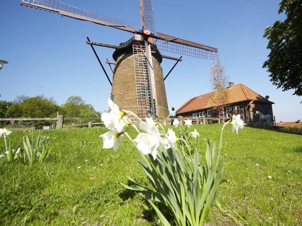 Ein guter Ausgangspunkt für eine Wanderung auf dem deutsch-niederländischen Handelsweg (Töddenweg) ist die Ostmühle in Gildehaus. Foto: Euregio