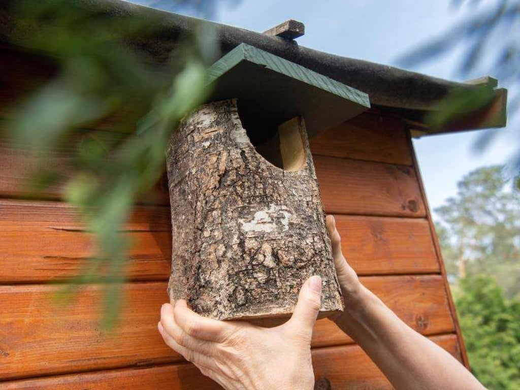 Gartenbesitzer sollten bis Ende September Nistkästen und Vogelhäuschen reinigen. Foto: Andrea Warnecke/dpa-tmn
