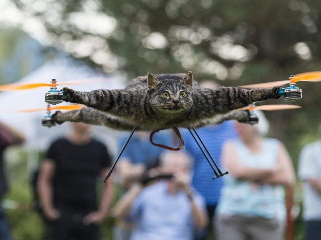 Eine fliegende Katze - ein Kunstprojekt namens «Orvillecopter» von Bart Jansen und Arjen Beltman. Foto: Alessandro Della Valle