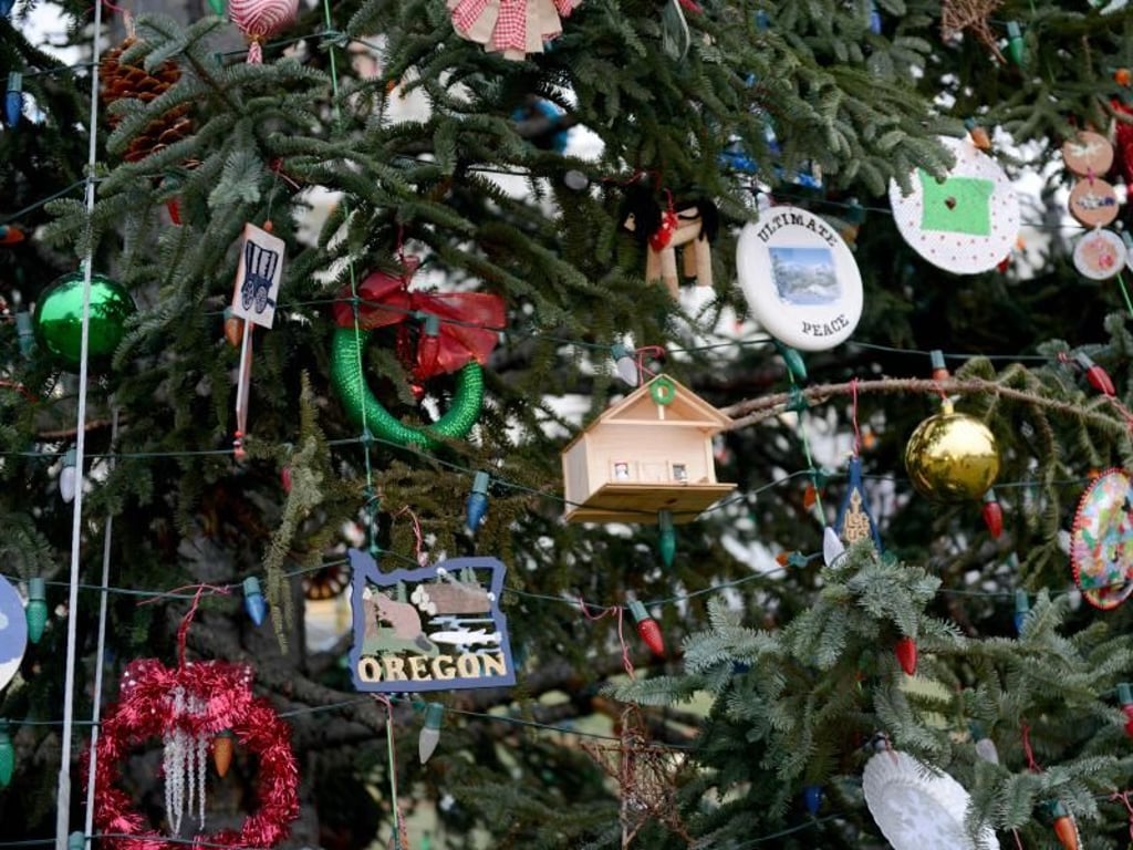 Der Weihnachtsbaum vor dem Kapitol ist mit zahlreichen Ornamenten geschmückt. Foto: Cecilio Ricardo/Planet Pix via ZUMA Wire