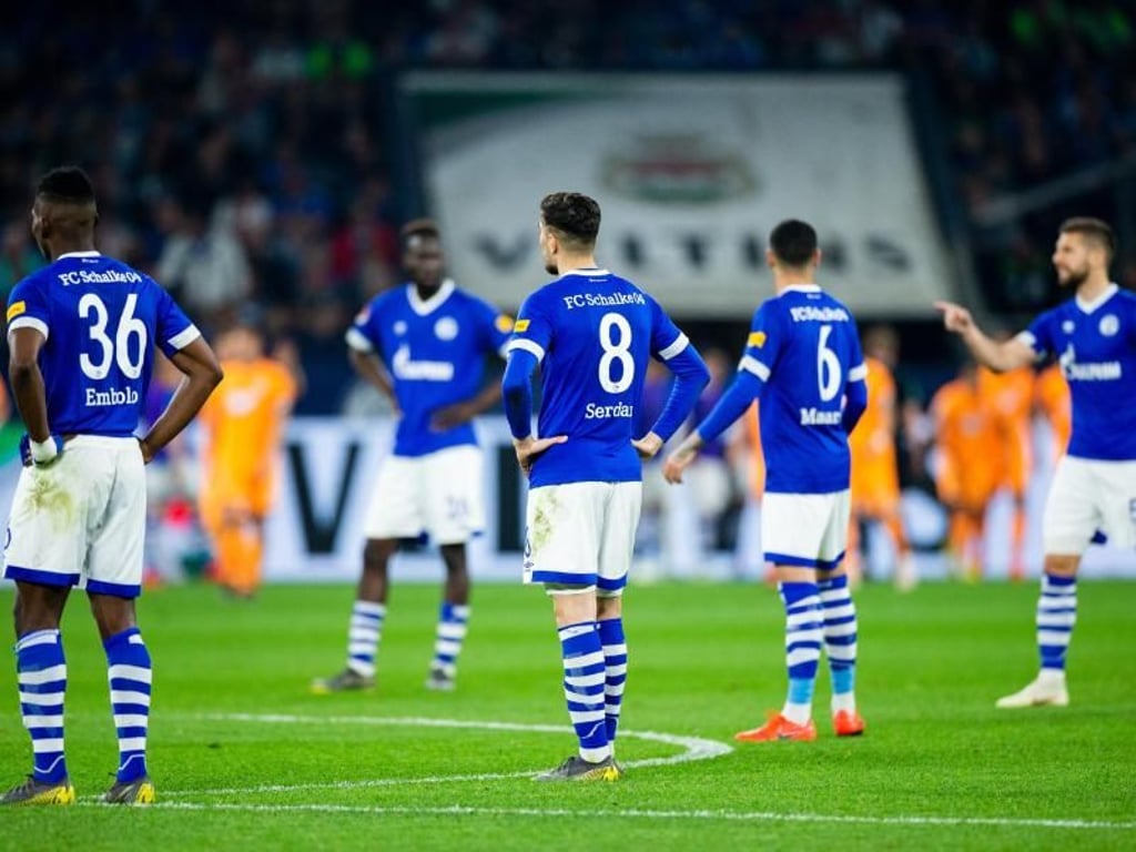 Der FC Schalke 04 verlor das Heimspiel gegen 1899 Hoffenheim. Foto: Rolf Vennenbernd