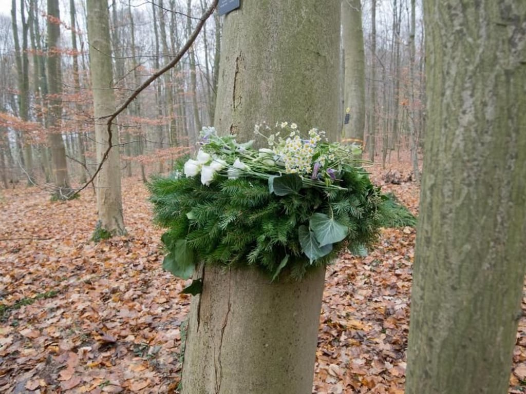 Ein Kranz hängt an einem Baum nach einer Beisetzung einer Urne im RuheForst Deister. In dem Waldgebiet können Menschen nach ihrem Tod bestattet werden. Die Asche des Verstorbenen wird in einer biologisch abbaubaren Urne beigesetzt. Foto: Julian Stratenschulte