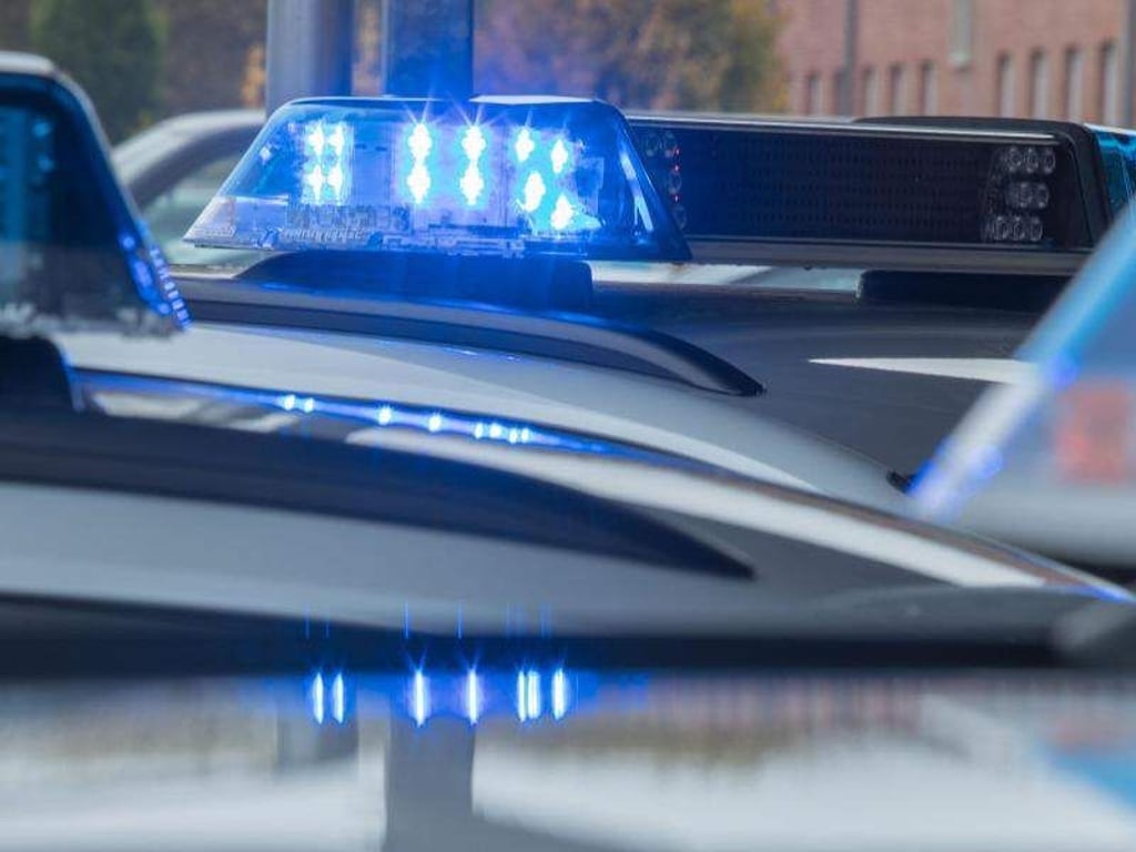 Blaulicht auf dem Dach eines Funkstreifenwagens. Foto: Jens Büttner/Archiv