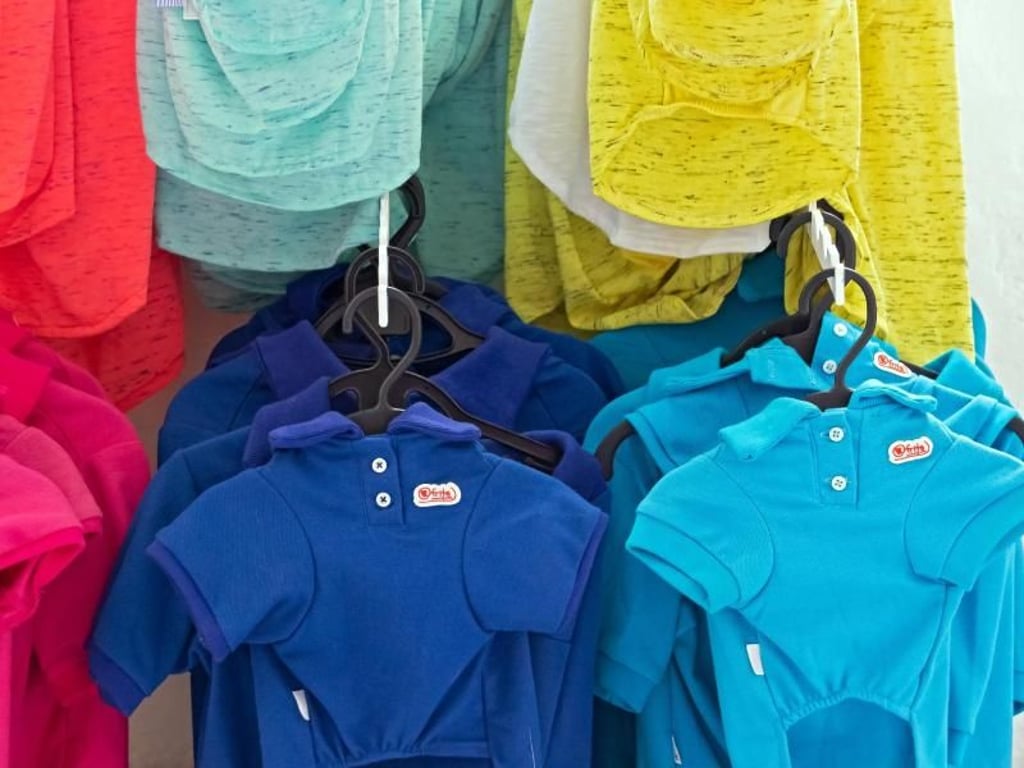 Hunde T-Shirts im Hotelshop des Tierhotels AtFrits. Foto: Tycho Schildbach