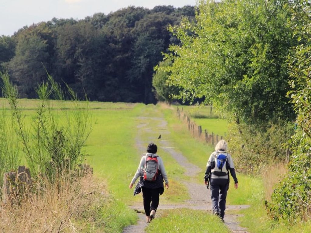 Auch über Wiesen und Felder führt der Westerwaldsteig die Wanderer. Foto: Bernd F. Meier