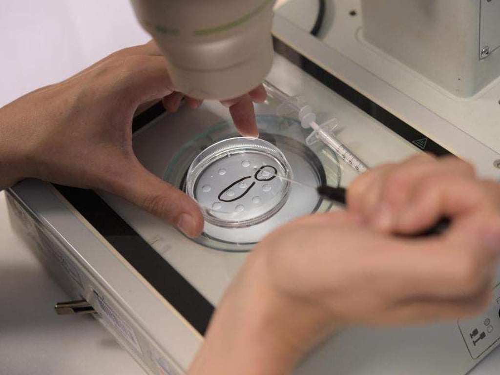 Eine Biologin präpariert Eizellen in einer Kinderwunschpraxis. Foto: Rainer Jensen/Archiv