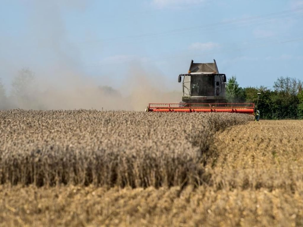 Ein Mähdrescher erntet auf einem Feld in Bayern Weizen. Foto: Lino Mirgeler