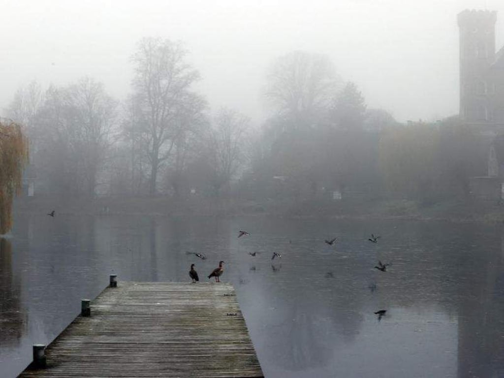 Bodo Schackow