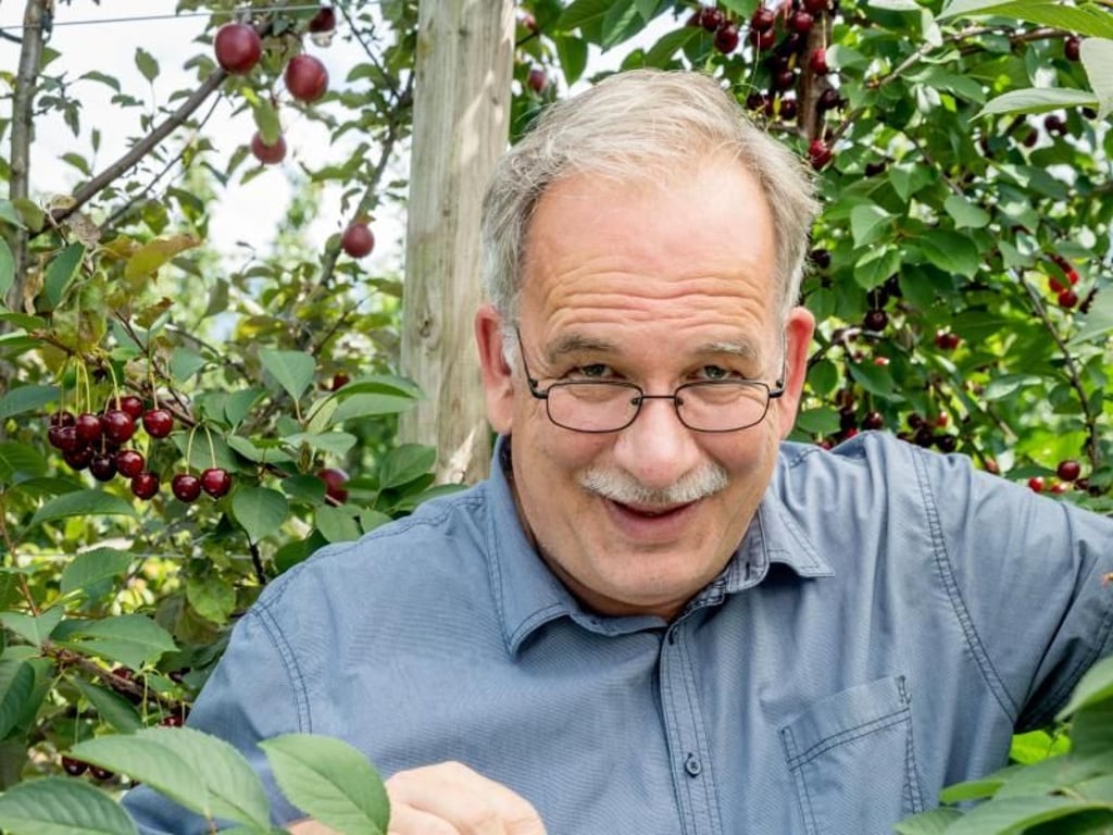 Daniel Ammann