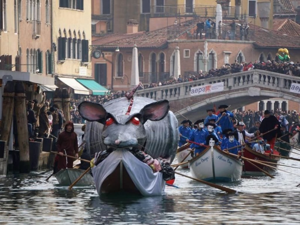 Ratte an Bord. Foto: Andrea Merola