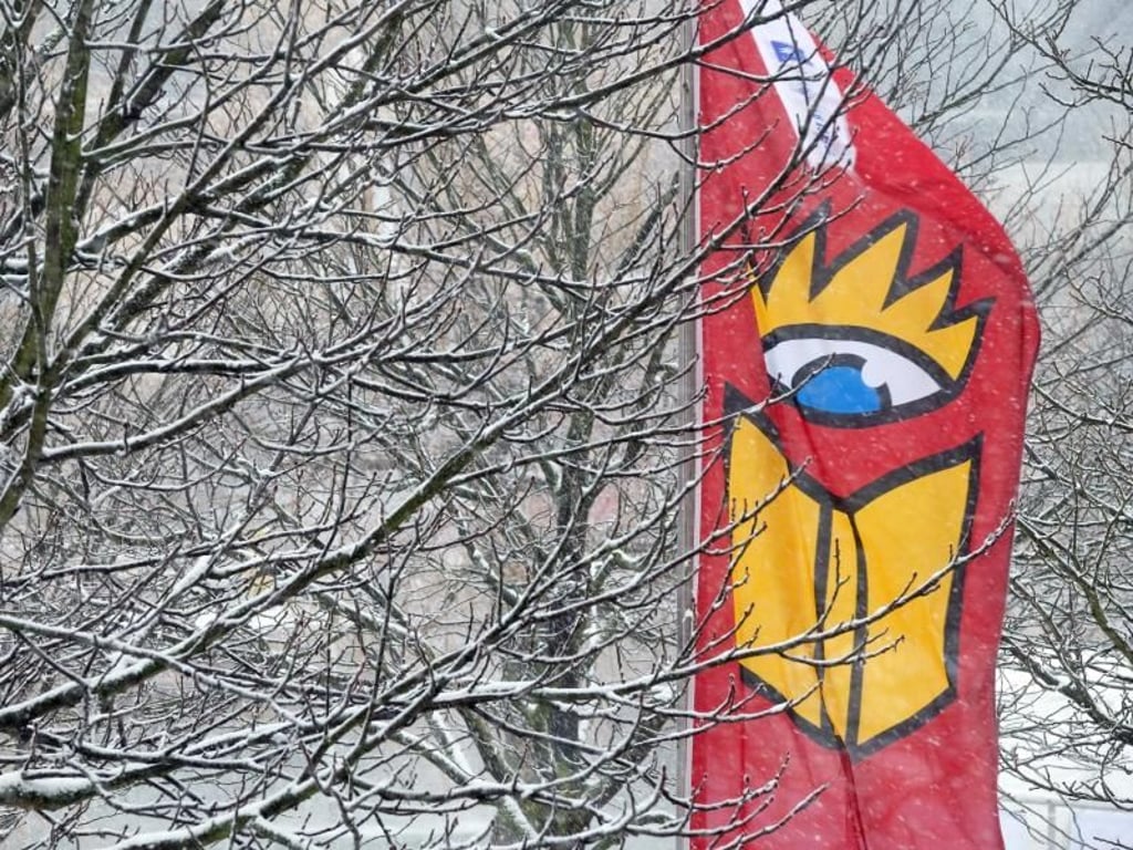 Eine Fahne mit dem Logo der Leipziger Buchmesse weht vor verschneiten Bäumen am Messegelände. Foto: Sebastian Willnow