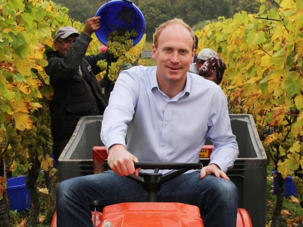 Henry Warde betreibt das Weingut «Squerryes». Foto: Verena Wolff