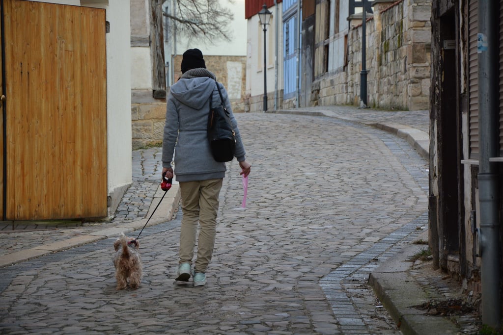 Für diese Hundehalterin ist es selbstverständlich, beim Gassigehen durch die Halberstädter Altstadt die Hinterlassenschaften ihres Haustiers zu entsorgen. An der Leine ist eine Box befestigt, in der sich rosane Tüten befinden.