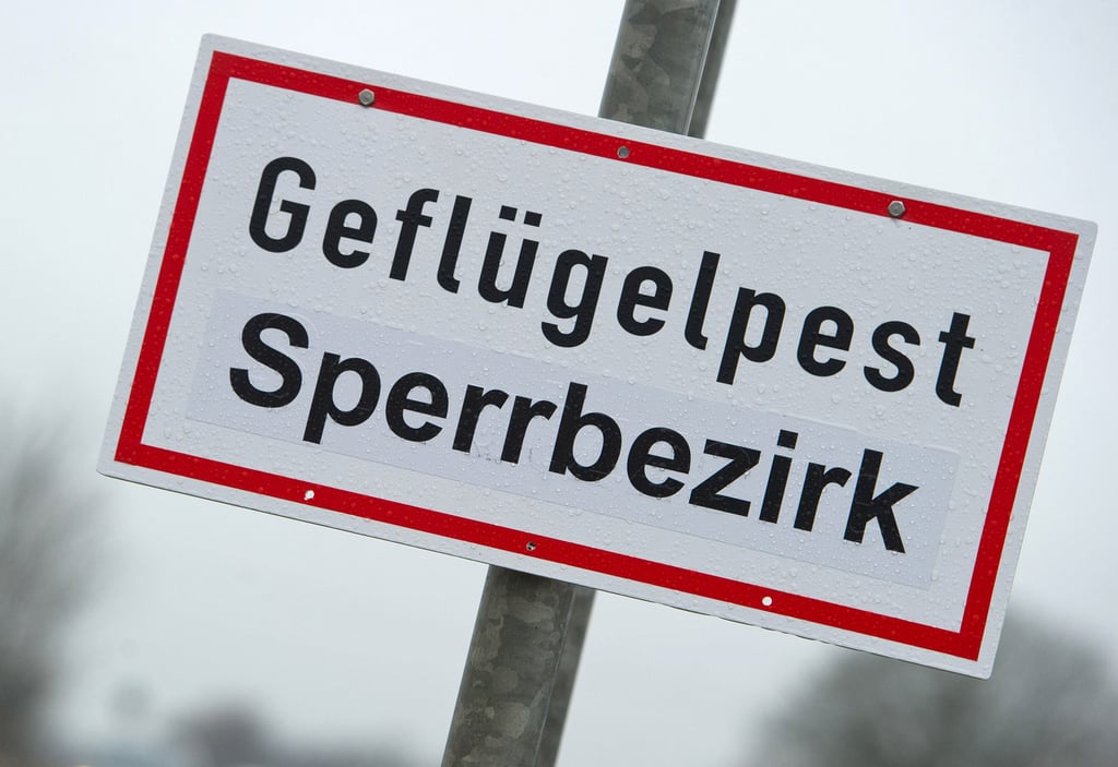 Die Aufstallungspflicht im Landkreis Börde endet am 3. Mai 2021.