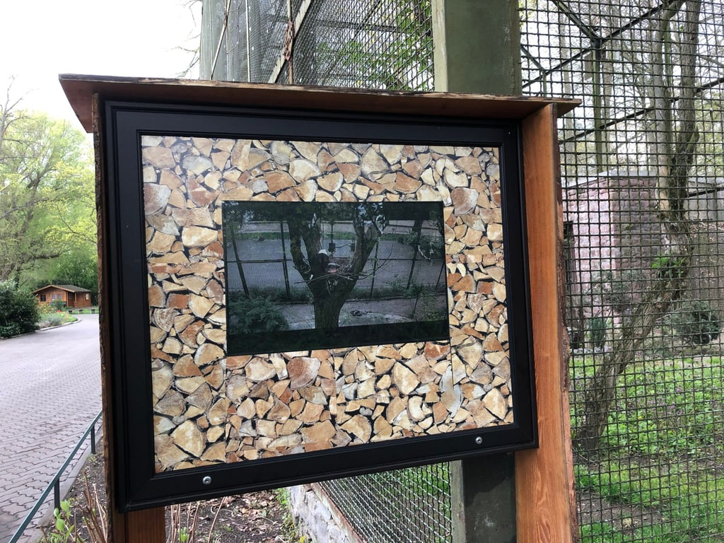Über einen Monitor an der Volieren können besucher im Zoo Magdeburg in den Horst schauen.