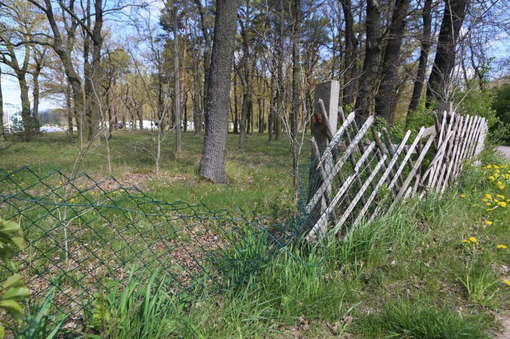Sprang der Hund über den Zaun? Im Hintergrund ist der Campingplatz zu sehen.