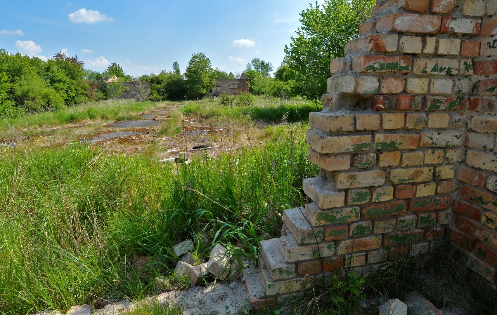 Auf diesem Grundstück eines ehemaligen Munitionsbunkers am Flughafen Cochstedt sollte die Legehennen-Anlage der Firma Wimex gebaut werden.