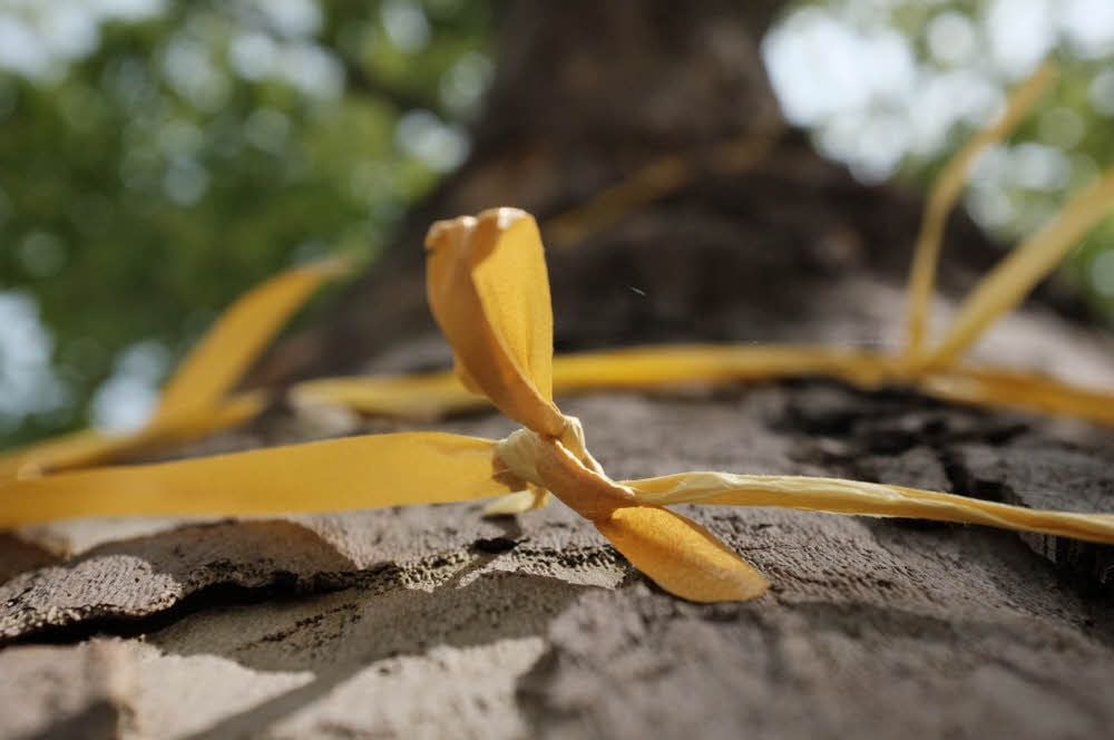 Eine gelbe Schleife als Symbol: Teilnehmer des Gedenklaufs trugen die Bänder an ihren Armen.