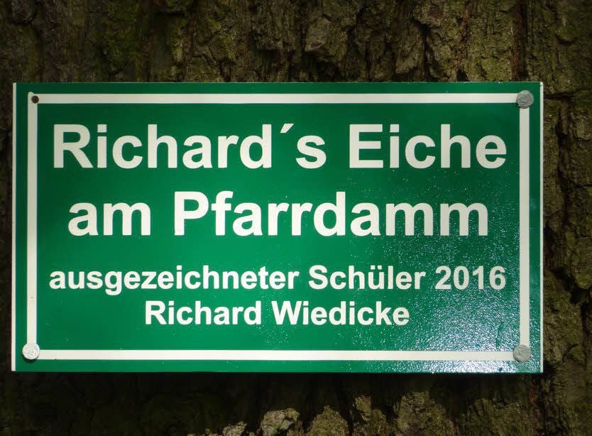 Ein Schild markiert die alte Eiche.