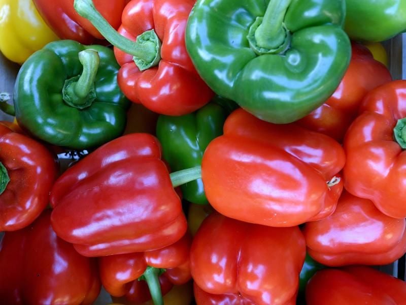 Rote, gelbe und grüne Paprika. Wer das Gemüse selbst anpflanzen will, kann langsam starten. Foto: Holger Hollemann