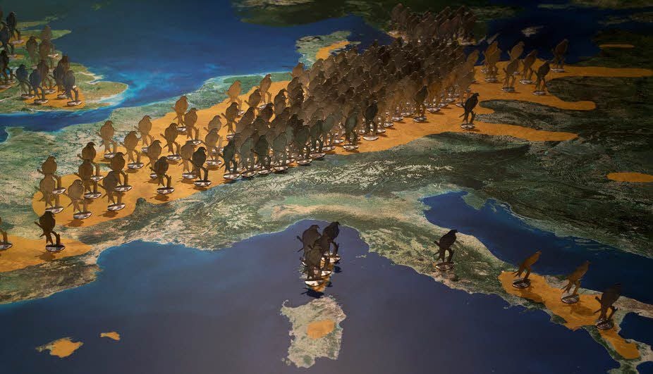 Die Hälft der Rotmilan-Population der Welt befindet sich in Deutschland. Das zeigt eine Karte in der Ausstellung zu diesem Ggreifvogel in der Scheune des Schraube-Museums in Halberstadt
