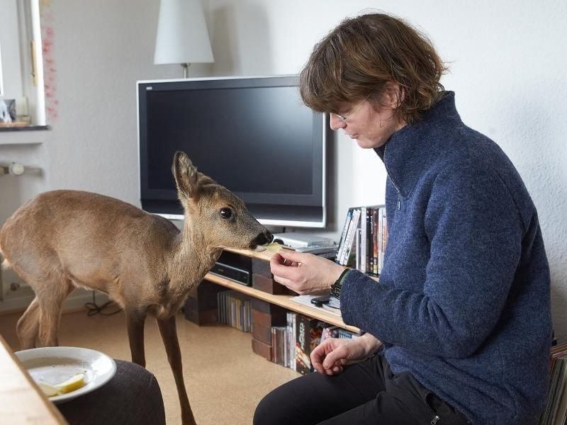 Das ungewöhnliche Haustier Tacoma mit Landwirtin Margret Nelles. Foto: Thomas Frey