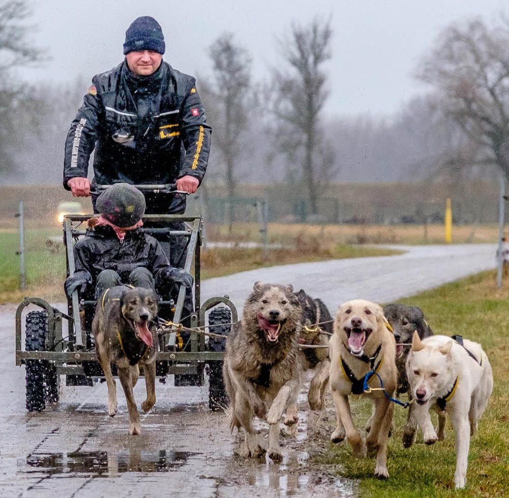 Silvio Spruth aus Schleesen drehte gestern Nachmittag mit Tochter Mia eine Runde mit dem Sechsergespann. Am Wochenende war er zwischen Ahlbeck und Heringsdorf unterwegs. Am ersten Märzwochenende wird er in Wörlitz starten.