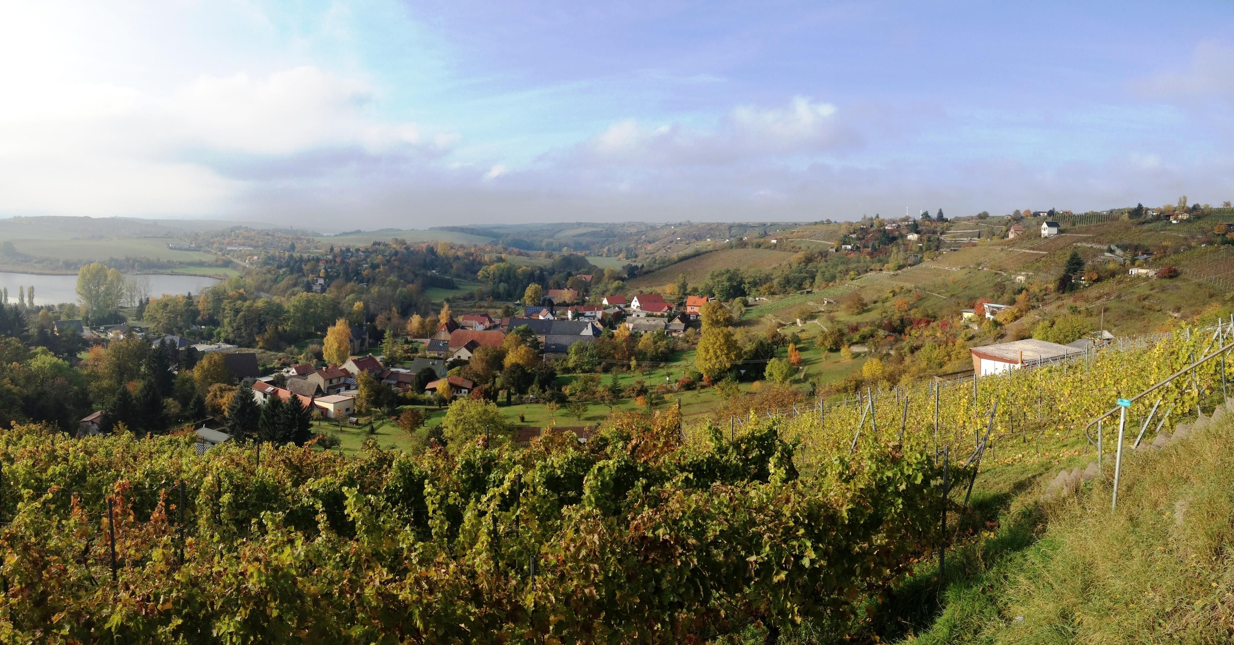 Höhnstedter Kreisberg