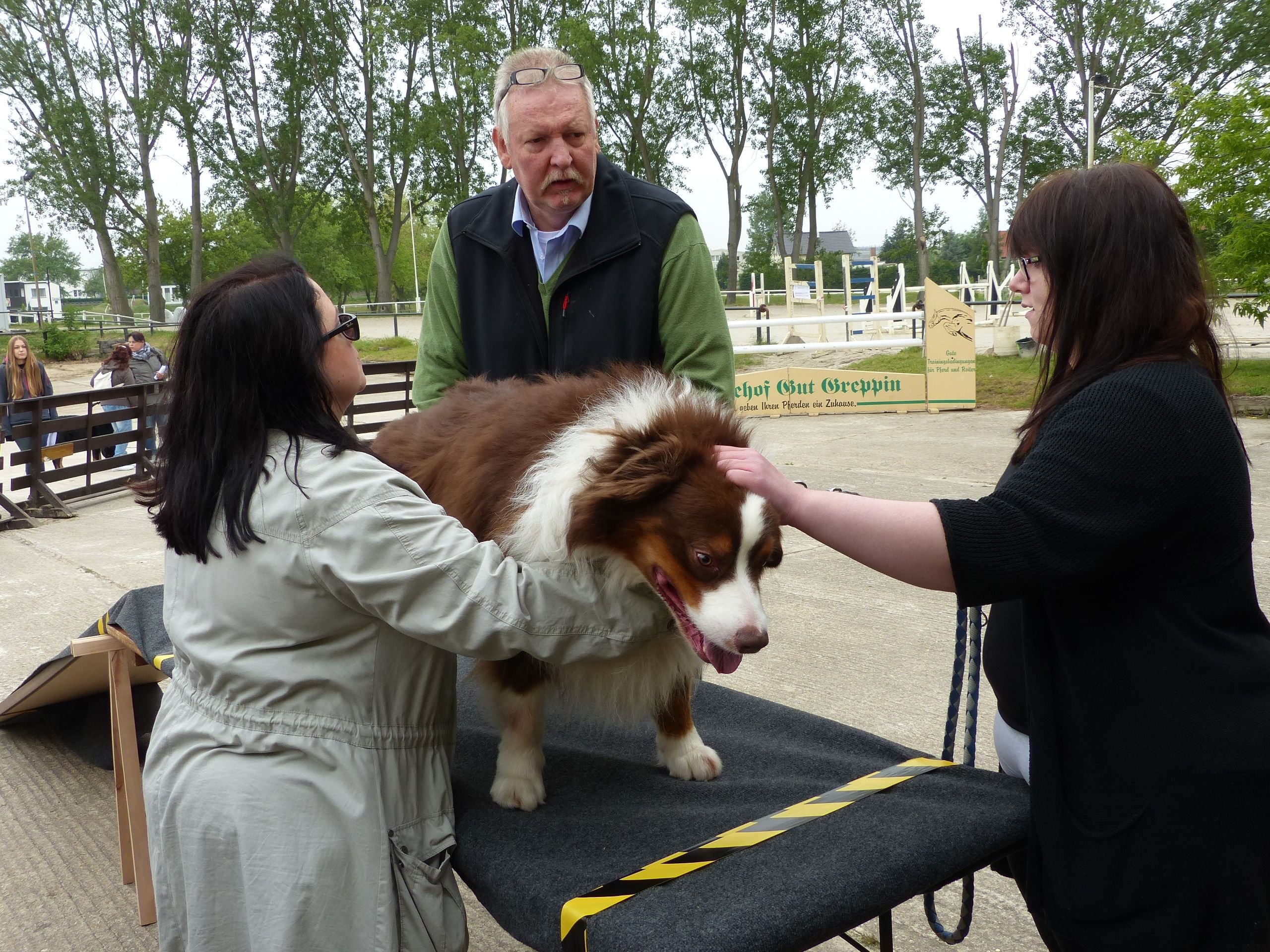 Tamme Hanken (Mitte) erklärt den Hundebesitzern, worauf sie vor allem bei der Ernährung achten müssen.