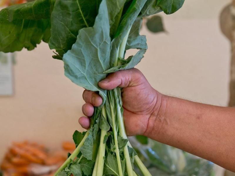 Beim Kohlrabi werden die Blätter am besten mitverwendet - in ihnen stecken wertvolle Mineralstoffe. Foto: Daniel Karmann