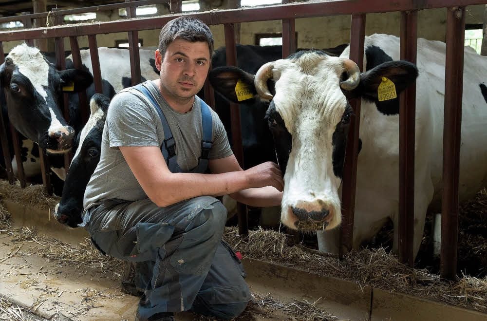 Die Kühe von Bauer Daniel Thielicke könne soviel Milch geben wie sie wollen, Thielicke macht trotzdem täglich Miese.