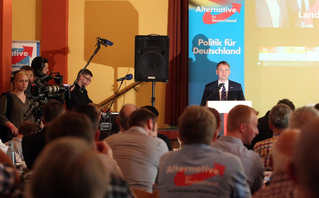 André Poggenburg, Landesvorsitzender der rechtspopulistischen Partei Alternative für Deutschland (AfD) Sachsen-Anhalt