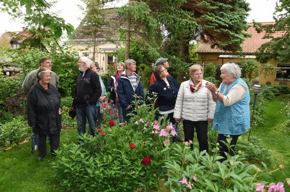 Grüne Wege, Blumen und schattige Bäume: Im Garten von Maritta Schultke (r.) fühlen sich nicht nur Menschen, sondern auch Hunderte Stare wohl.