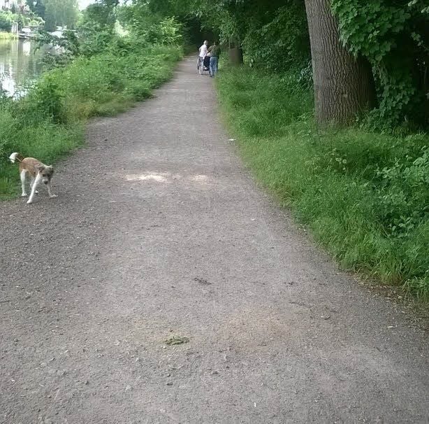 Flutschäden, die nicht zu sehen sind: Der Ringweg um die Rabeninsel