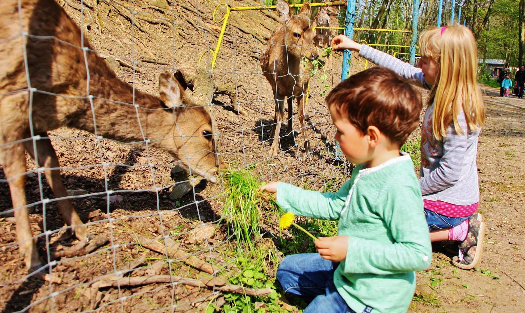 Am Wochenende wird im Walbecker Tierpark Kinderfest gefeiert.