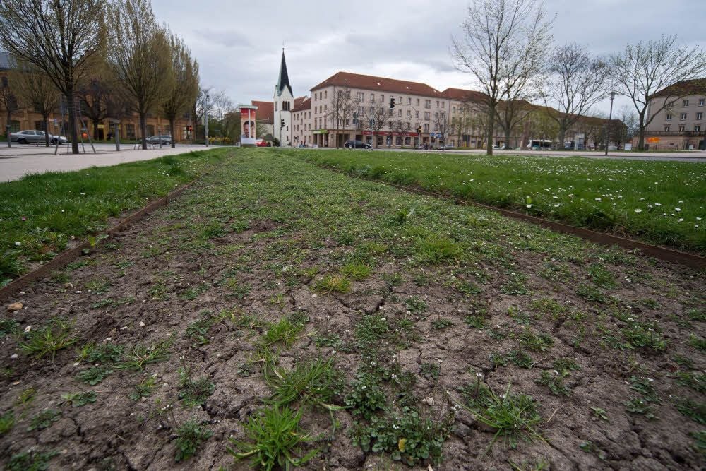 Bonjour Tristesse. Am Merseburger Bahnhofsvorplatz werden die Gäste mit Unkraut begrüßt.