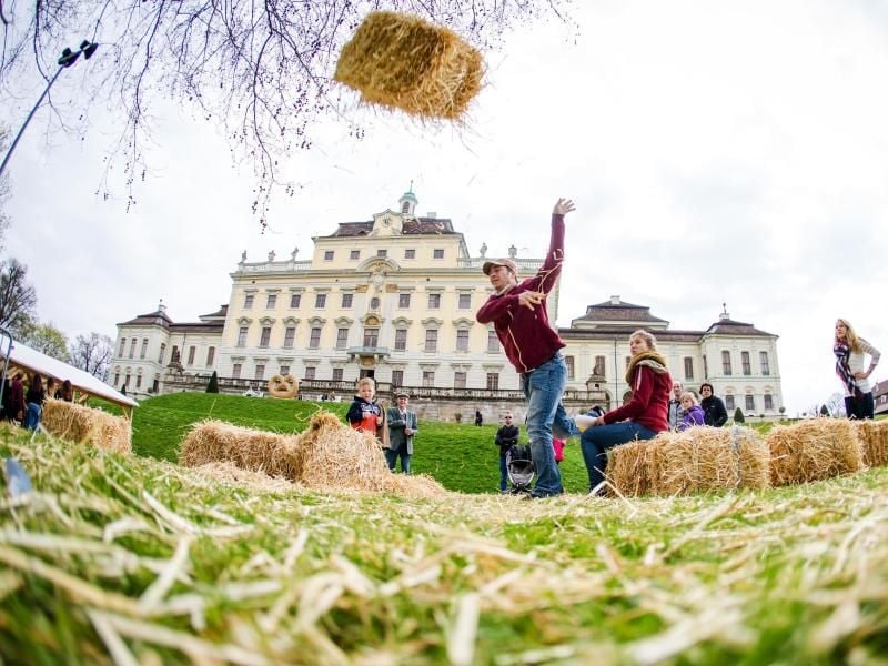 Bei der Strohballen-Olympiade in Ludwigsburg. Foto: Christoph Schmidt