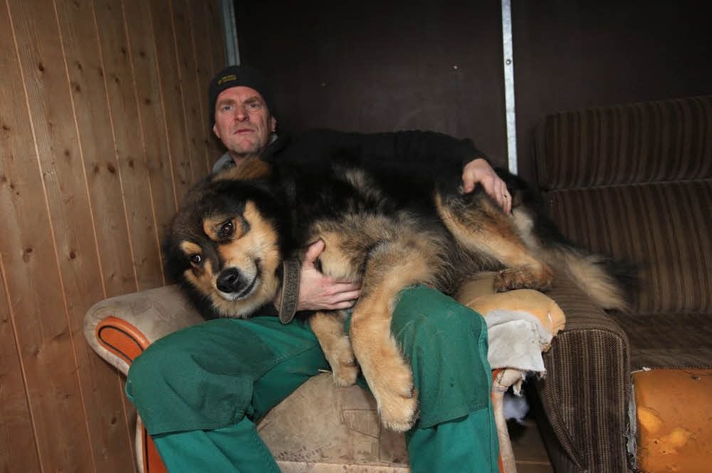 Bruno kuschelte gern, wie auf diesem Archivfoto zu sehen, mit Karsten Dittmann im Zeitzer Tierheim, wo er fast ein Jahr lebte.