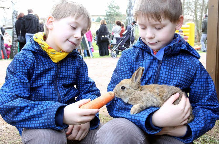 Die neunjährigen Zwillinge Julien (links) und William Nicolai verwöhnten am Streichelgehege ein Kaninchen mit seiner Lieblingsnahrung.