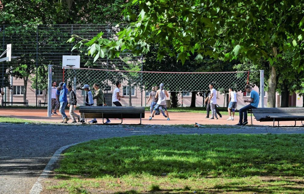 Immer gut besucht: das Sportfeld im Stadtpark.