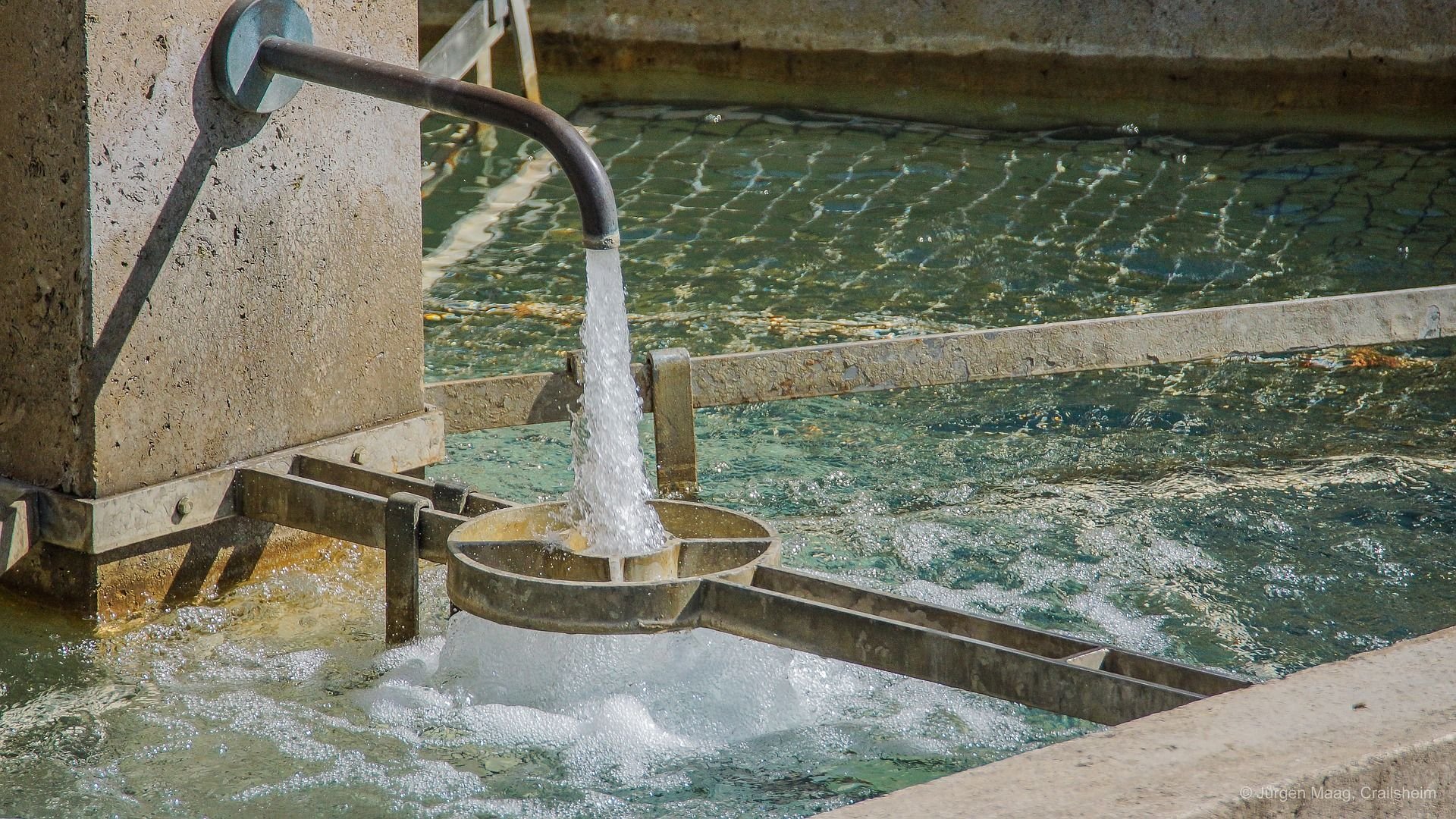 Ab 2018 soll ein stadteigenes Wasserwerk Quedlinburg versorgen.
