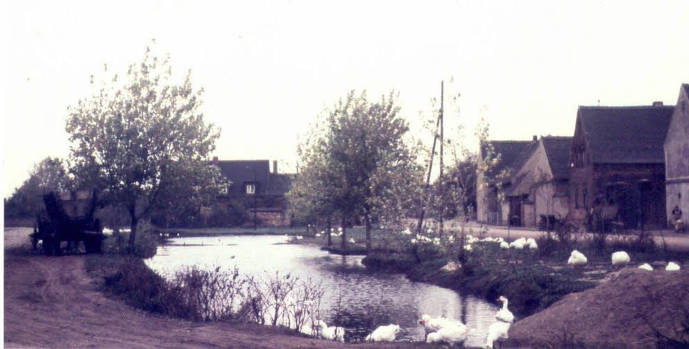 Historischen Fotos erinnern an das Dörfchen Döbern. Zu dem gehörte die Landwirtschaft. Der Dorfteich und die Kirche bildeten den Mittelpunkt des Ortes. Die Kirchenglocken verstummten 1982 für immer.